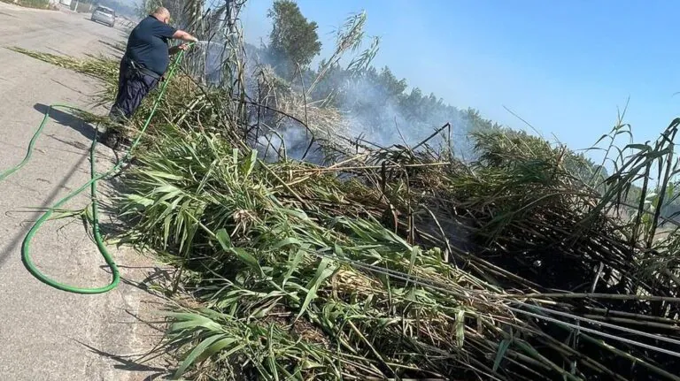 Vasto incendio in un canneto, polizia locale evita il peggio
