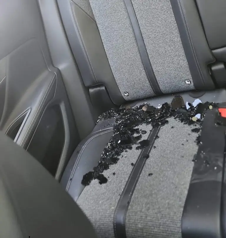 Auto distrutta dopo il parcheggio, lo sfogo: “Per una divisa e dei vassoi!”. I fatti