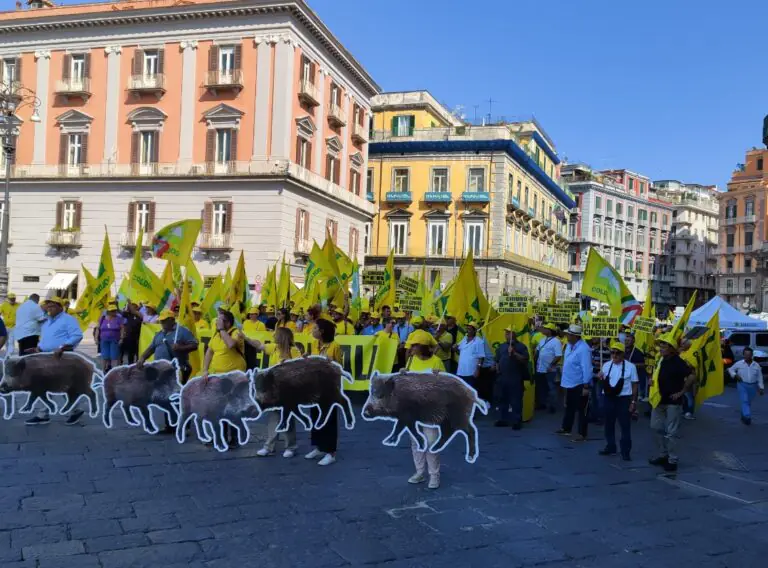 Emergenza cinghiali: manifestazioni sotto la sede del Governo Regionale