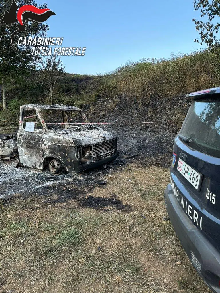 Camper in fiamme, bosco distrutto dal rogo. Il bilancio del disastro