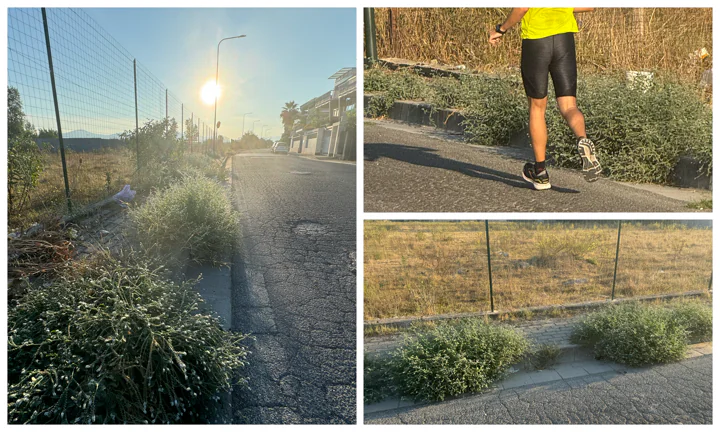 Marciapiedi invasi da erbacce alte, strada strategica e biglietto da visita della città nel degrado