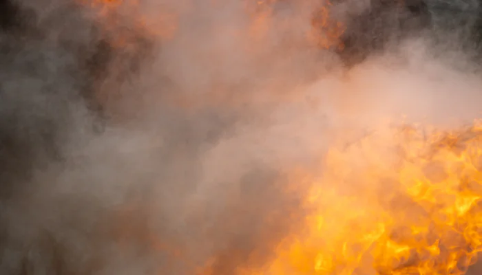 Terribile incendio, le richieste di WWF: “Più controlli, più risorse, più sensibilizzazione”
