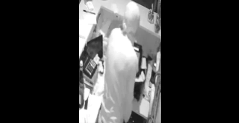 Ennesimo furto in pizzeria, rubate anche le mance. Il titolare: “Che schifo”
