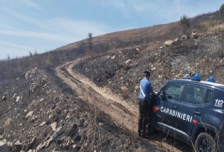 Fermato mentre dava fuoco a delle sterpaglie