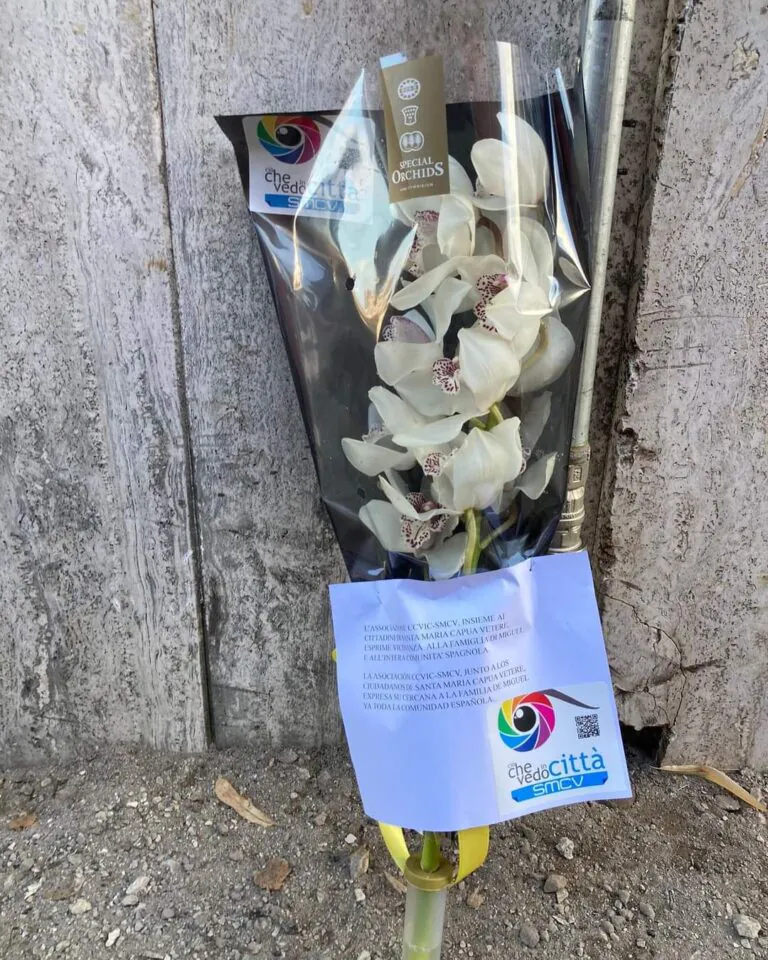 Travolto e ucciso, turista torna a casa. Nominato perito per le indagini