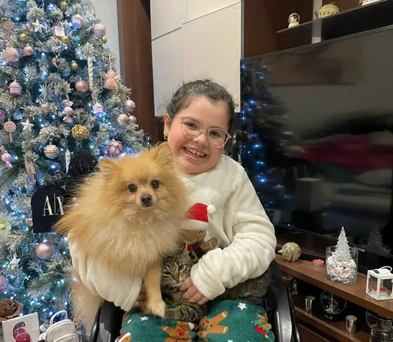 Svaligiano casa e rubano cane di bimba in carrozzina, l’appello del padre