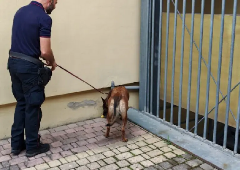 Droga a scuola: trovato hashish negli zaini di 4 ragazzini, un altro aveva coltello