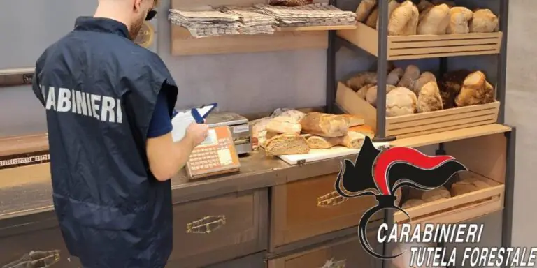 Blitz in tre forni, sequestrato oltre un quintale di pane