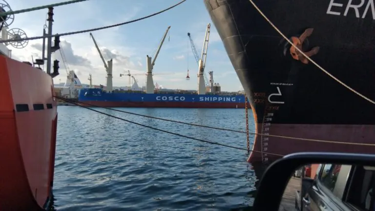 Tragedia al porto, operaio muore dopo essere stato investito da una gru