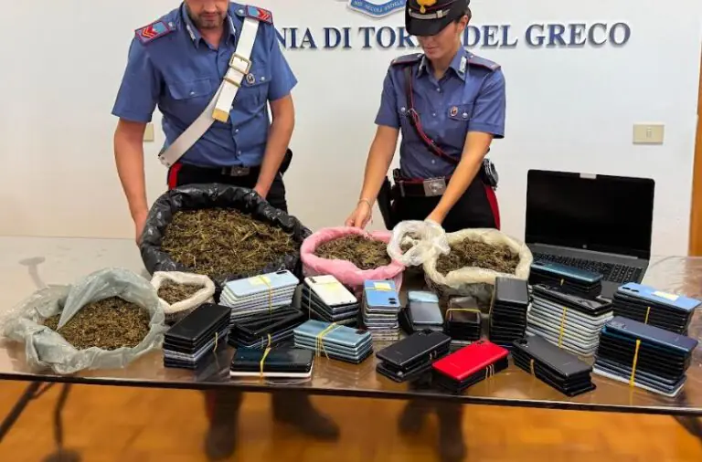 Nella fattoria con gli animali protetti trovati 181 telefoni e 3 chili di marijuana