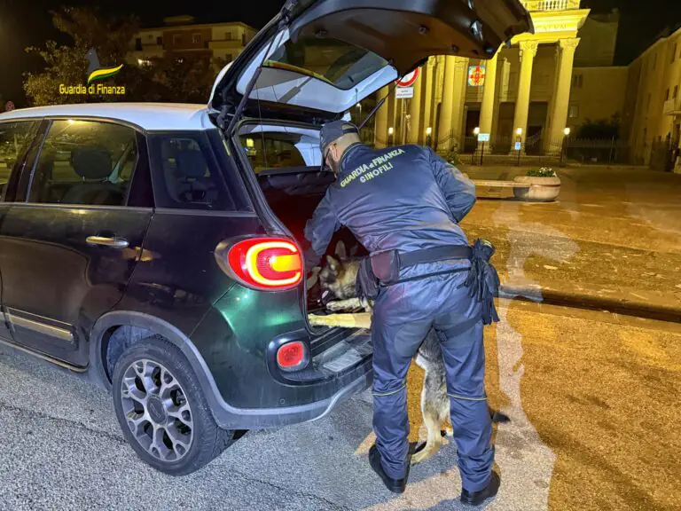 Cani antidroga tra i locali della movida, fioccano i sequestri