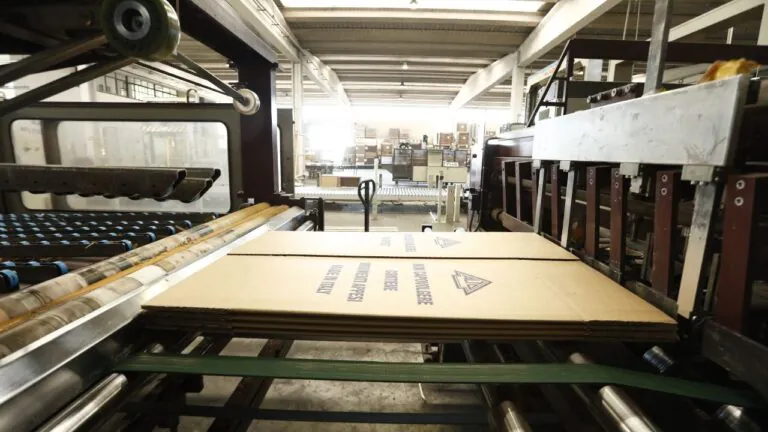 Azienda di cartone e scatole della Valle cerca urgentemente operatori