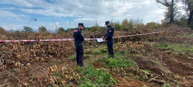 Blitz in campagna, scatta il sequestro