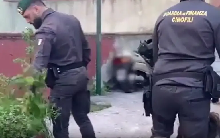 Alto Impatto nel giorno del dolore, 200 a caccia di armi e droga