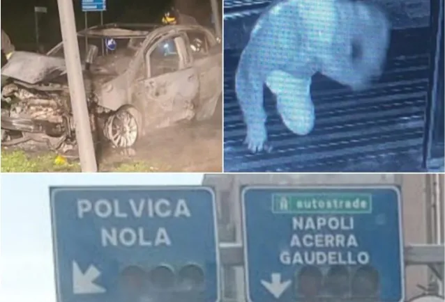 In fuga per 10 km dopo colpo in farmacia, 2 arrestati