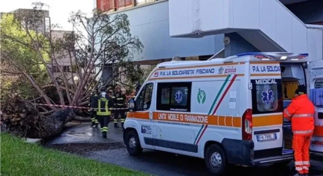Cade albero e colpisce 5 persone: choc all’Università