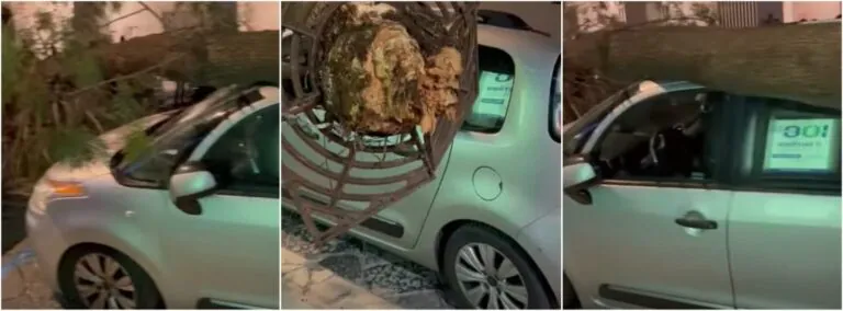 Attimi di terrore in serata: albero cade su un’auto con famiglia all’interno