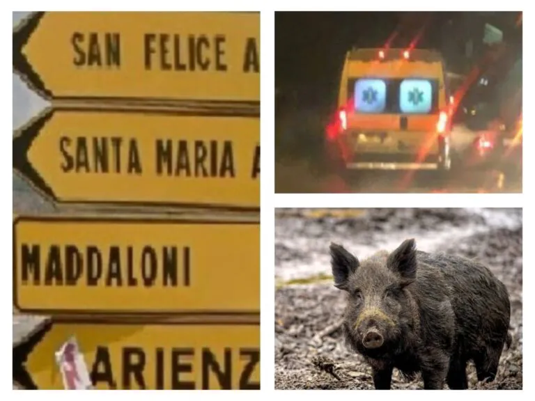 Incidente nella Valle: cinghiale contro Mercedes, 2 ragazzi feriti