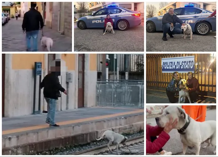 Maltratta cane e lo getta sui binari: intervengono polizia e associazione. Lui è nei guai