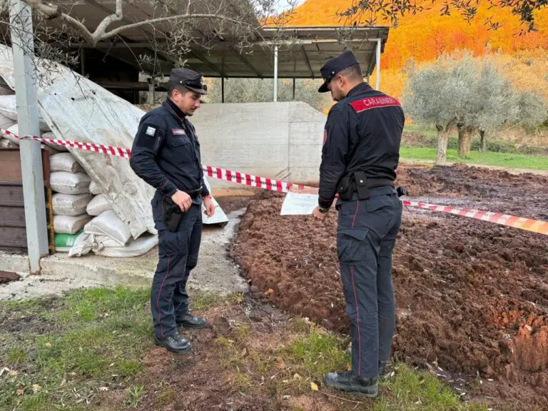 Blitz nel frantoio, scatta il sequestro