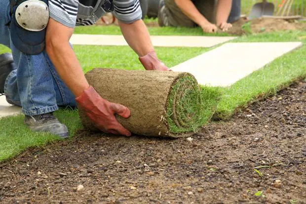 Comune cerca giardinieri con licenza media: dove e come candidarsi