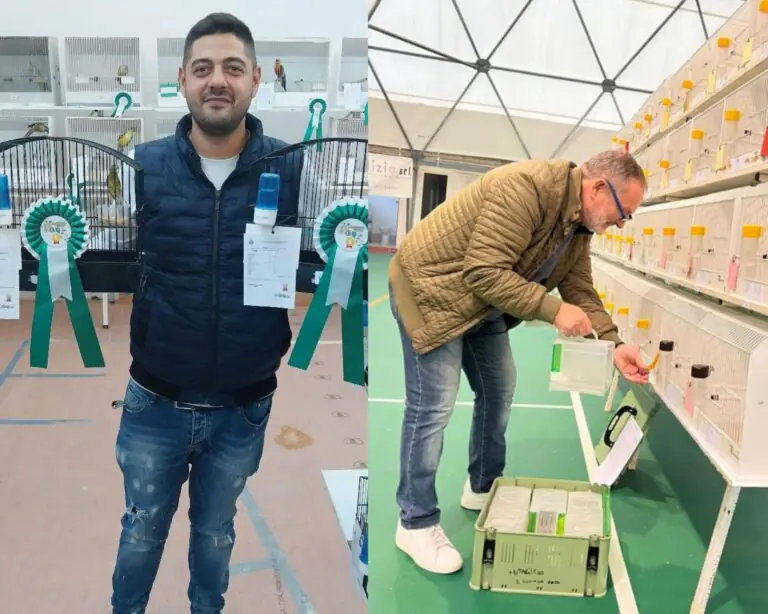 Campionato ornitologico regionale campano. Due casertani sul podio