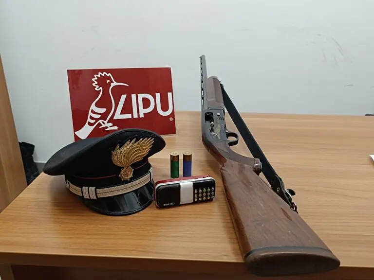 Bracconieri della frazione nei guai dopo blitz dei carabinieri
