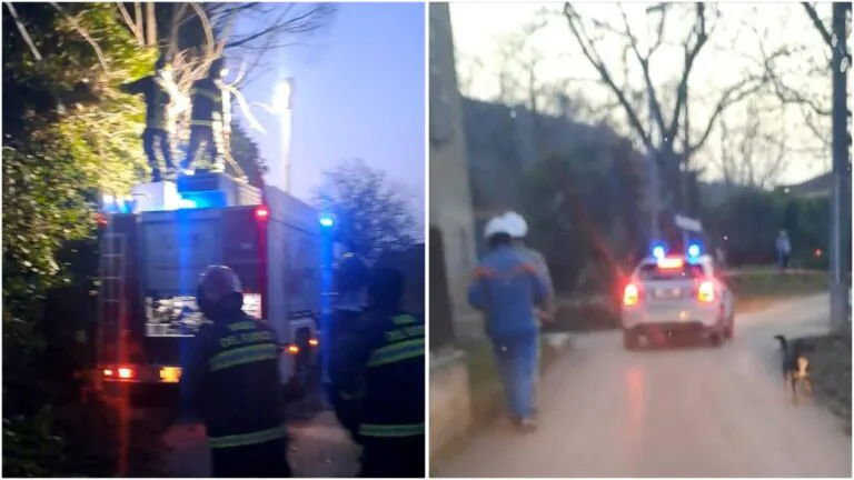 Alberi sui cavi, pompieri in azione nella valle