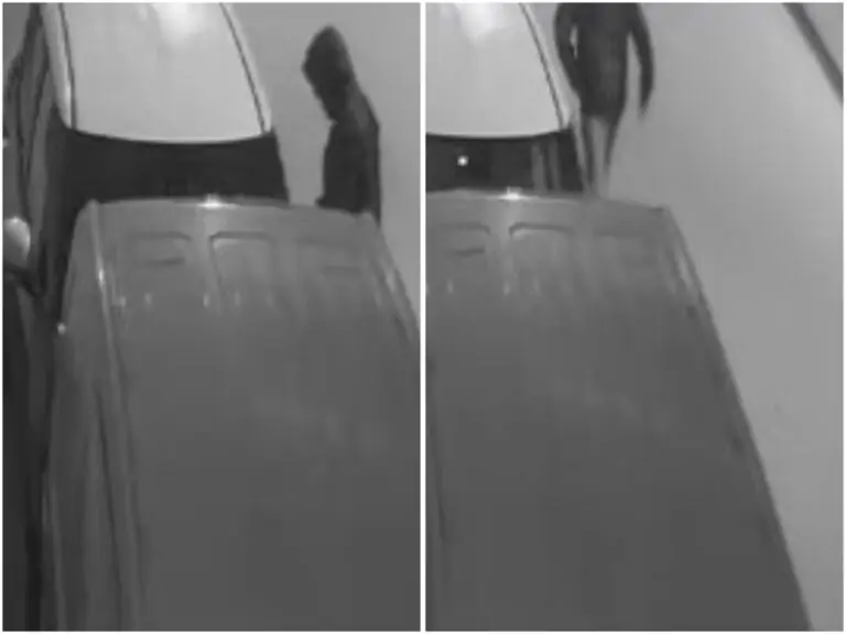 Tenta di rubare un’auto, proprietario lo nota e lo insegue in strada