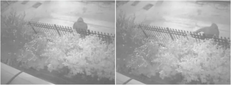 Ladro maldestro: tenta irruzione in casa ma per lui finisce male
