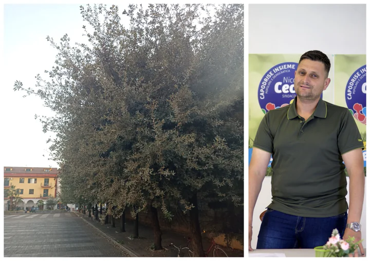 Ordinaria amministrazione del verde pubblico nella piazza centrale all’anno zero