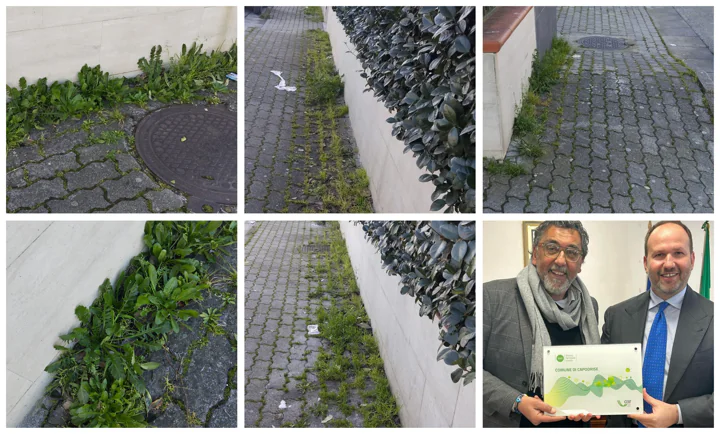Degrado totale nella strada centrale del quartiere: dai marciapiedi spunta l’insalata