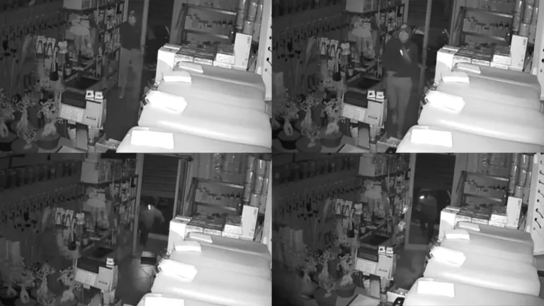Raid nel negozio di fiori, banditi in fuga con la cassa