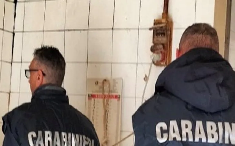 Sigilli a un’attività commerciale, coppia nei guai