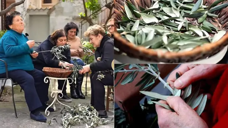 “A ‘ndrezzata delle palme”: evento in piazza per riscoprire l’antica tradizione