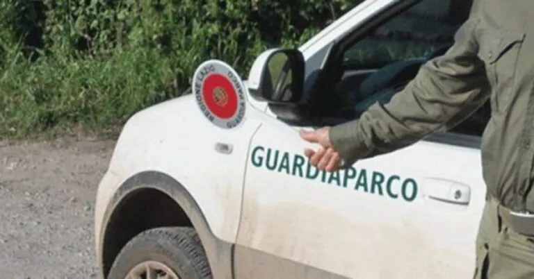Concorso per Guardiaparco con diploma: 31mila euro di stipendio