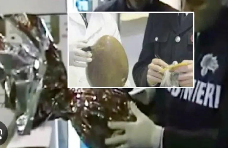 Uova di cioccolato in saldo, boom di malori: scadenza sospetta
