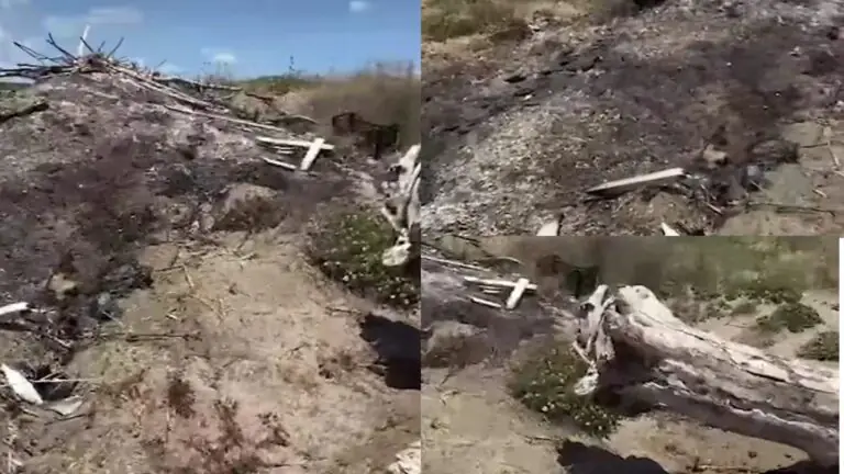 Rifiuti dati alle fiamme sulle spiagge, Borrelli: “Intensificare i controlli”. Video