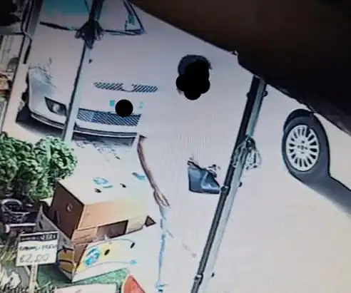 Ruba una borsa in pieno giorno con auto e persone presenti
