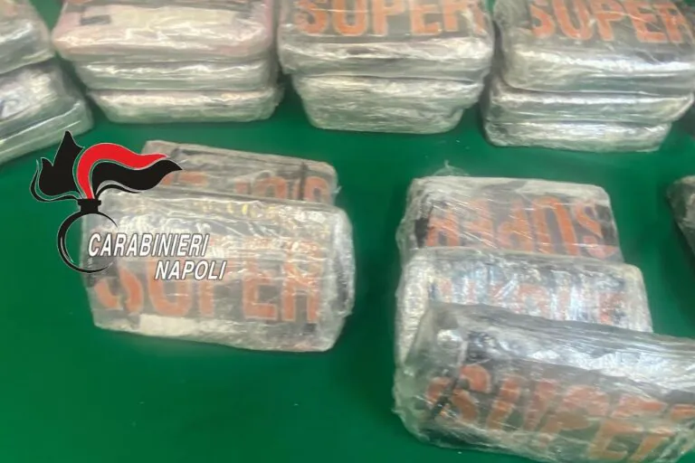 Colpo mortale ai narcos, carico da 5 milioni alla stazione