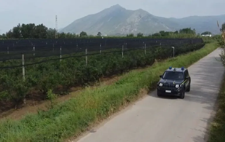 Truffa da 10 milioni sui contributi agricoli, 12 arresti. Gli indagati sono 67
