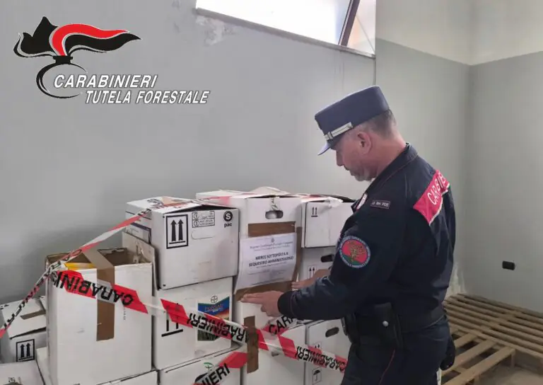 Blitz dei militari in azienda, stop a vendita di prodotti