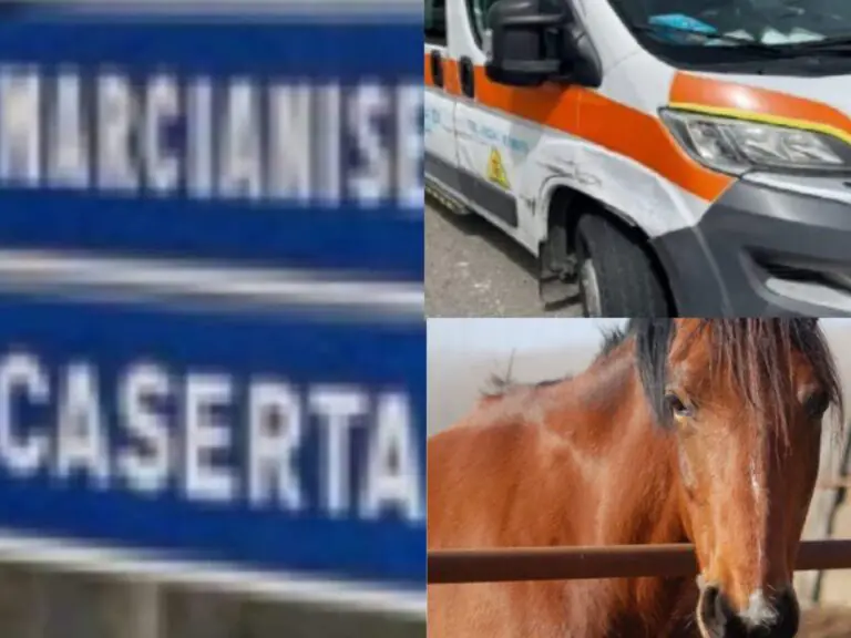 Bimba cade da cavallo e resta ferita, portata al Santobono