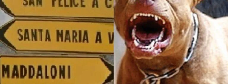 Grosso cane sfugge alla padrona e semina lo scompiglio nei pressi della stazione