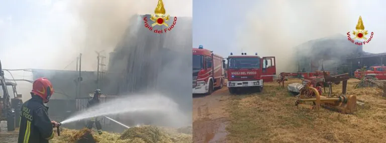 Azienda bufalina prende fuoco all’improvviso: intervengono i pompieri