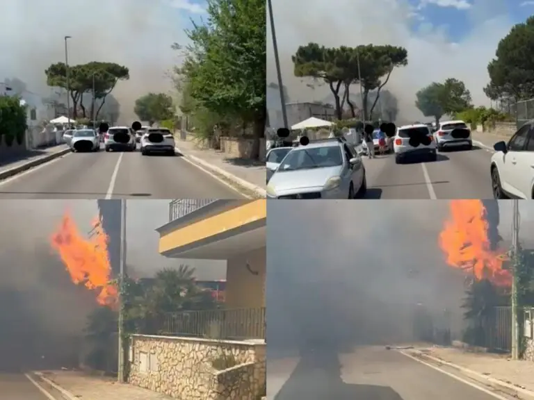 Incendio mette a dura prova città del litorale: fuoco fino alle case