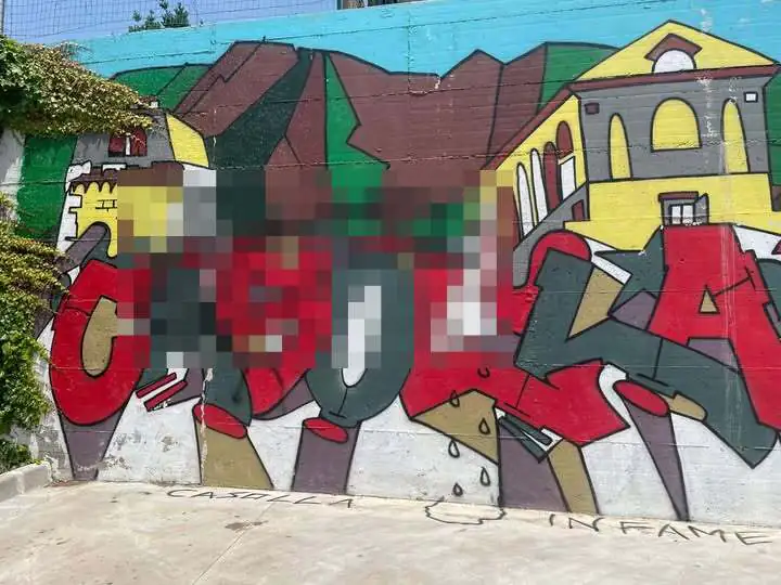 Vandali imbrattano murales con disegni osceni, l’ex consigliere Guida: “Una pugnalata”