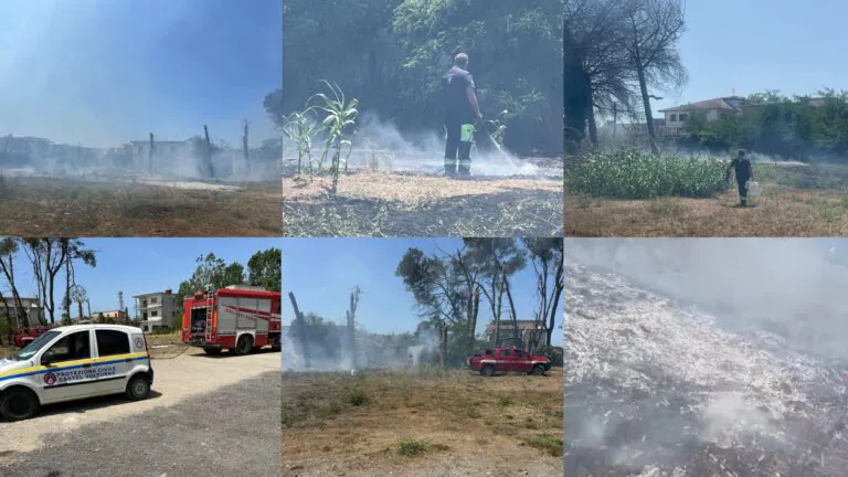 Campagna prende fuoco: intervengono Protezione Civile e pompieri