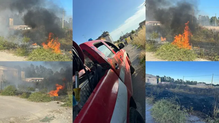 Scoppia incendio sul litorale: l’intervento dei pompieri e Protezione Civile