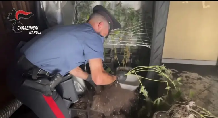 Incendiata casa dello spaccio, carabinieri vanno per rogo e trovano droga